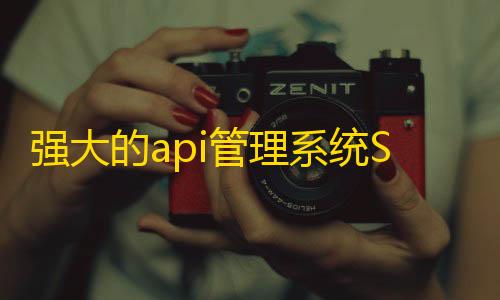 免费游戏开挂的软件强大的api管理系统Storm Core API_V1.1免授权源码分享